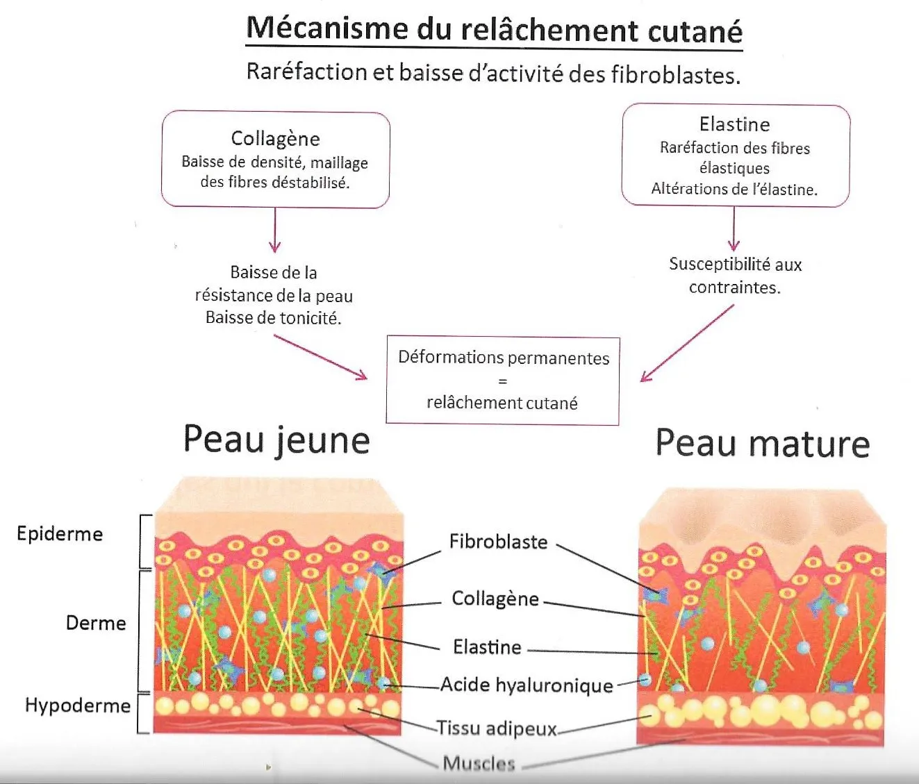 mecasime